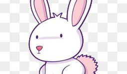 兔子动漫,萌动时光，治愈系动画的奇幻之旅
